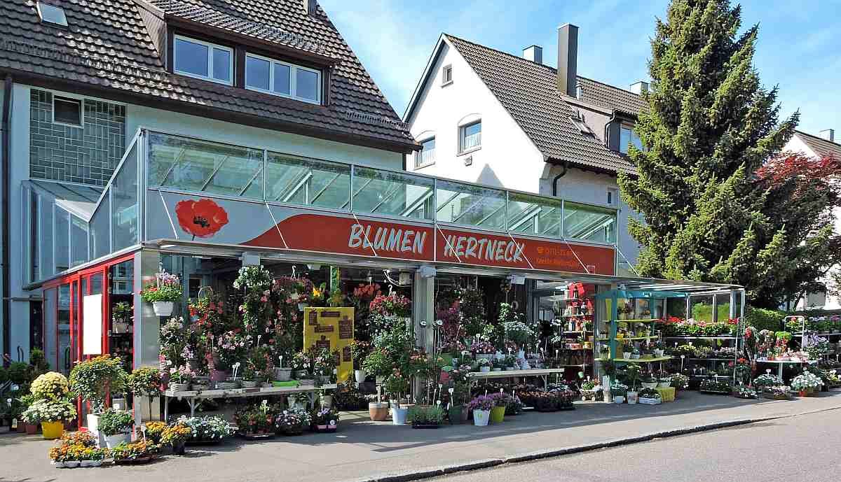 Blumenladen Stuttgart Vaihingen Hertneck BlumenHertneck