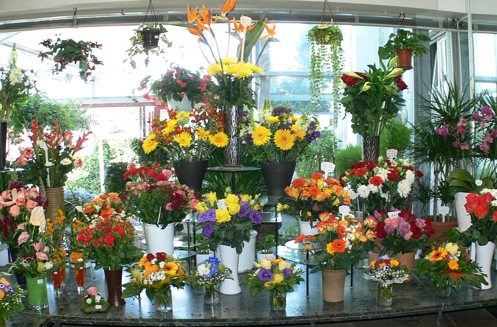 Blumenladen Stuttgart Vaihingen Hertneck Herbst 2020