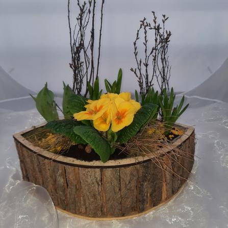 Pflanze Nr. 10 Holzkorb L,  frühlingshaft  € 40,00