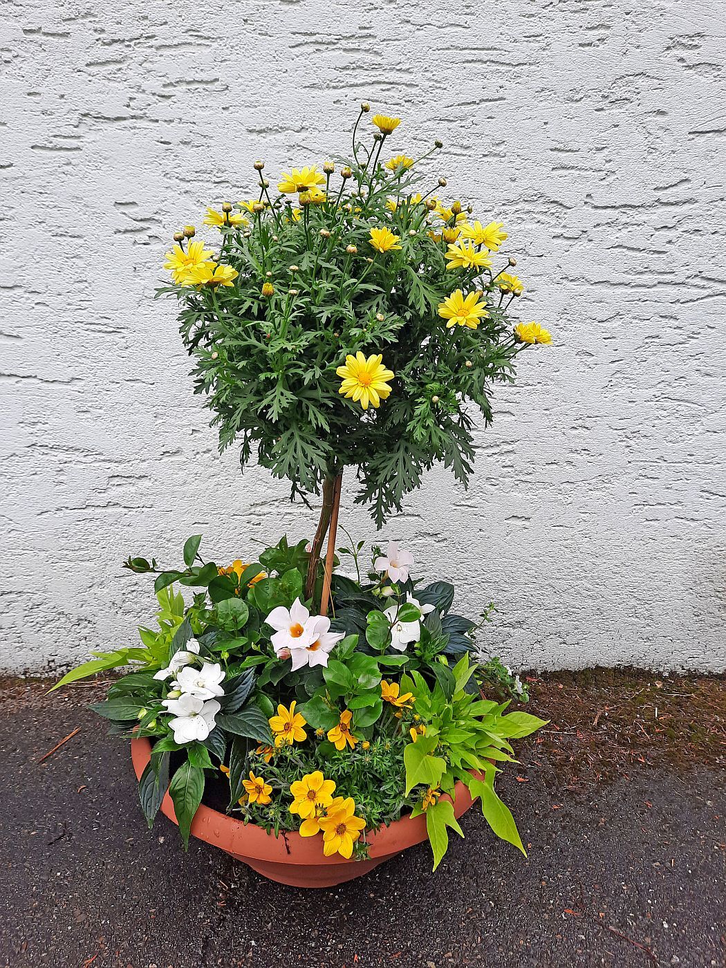 Pflanzschale 30